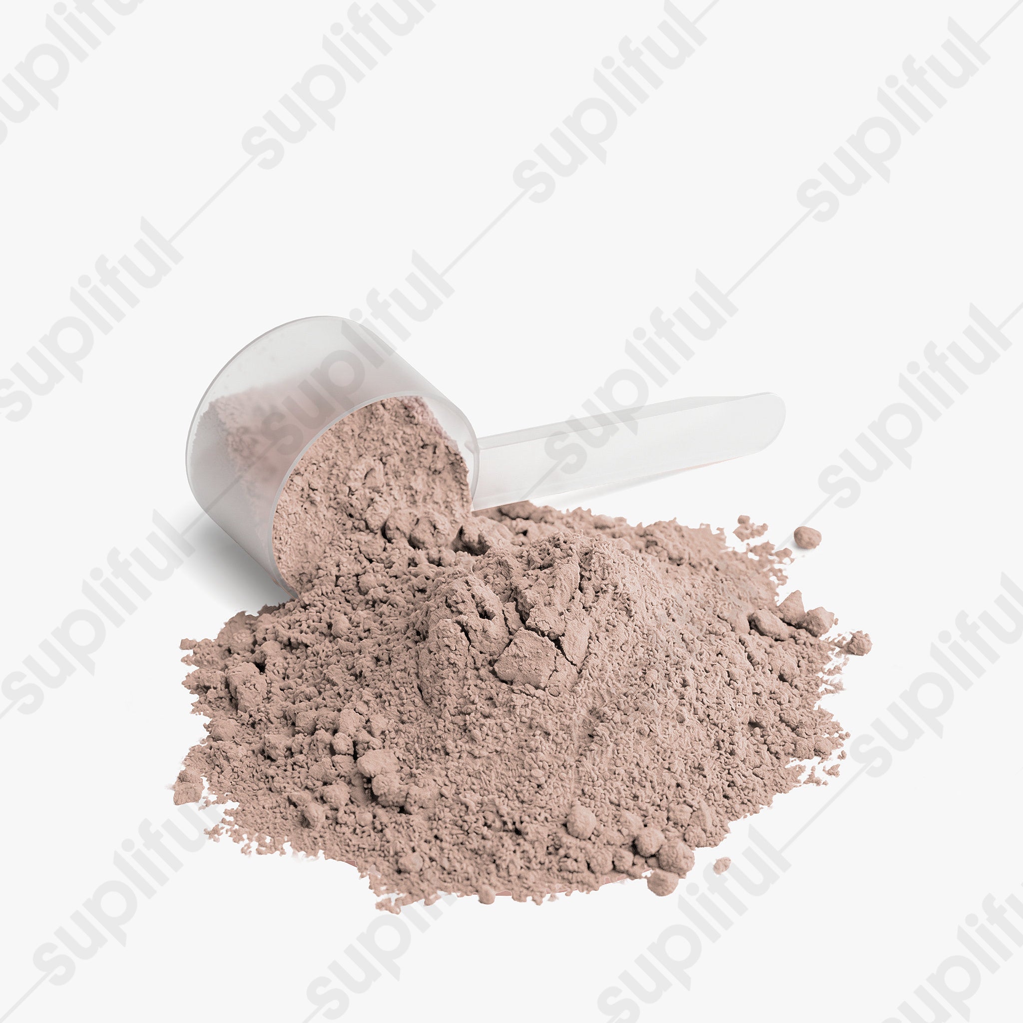 Plant Protein (Chocolate)